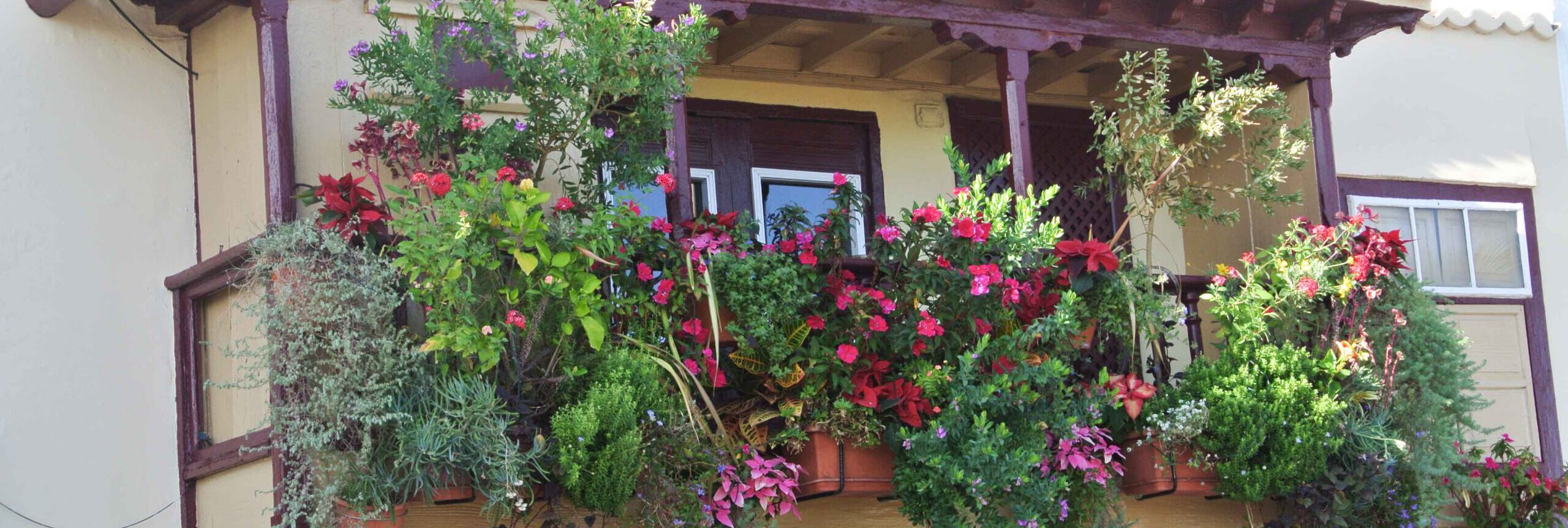 Wilder Blumen Balkon, La Palma